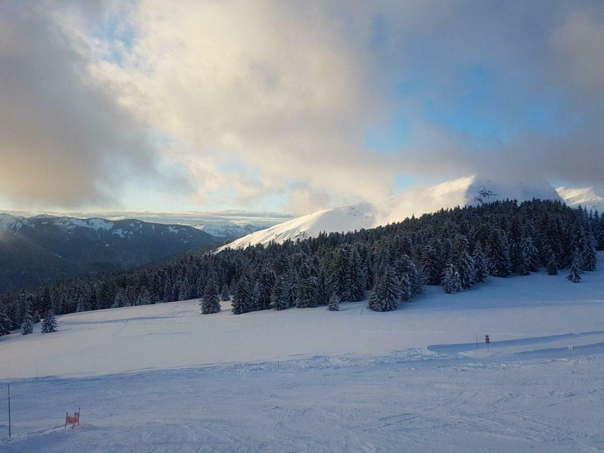 Praz-Du-Soleil F3 Lägenhet Les Gets Exteriör bild